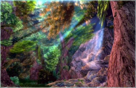 https://maessage.wordpress.com — effets de lumière dans une forêt • photo de Eirela LANE, photographe française : « Lumière forestière »